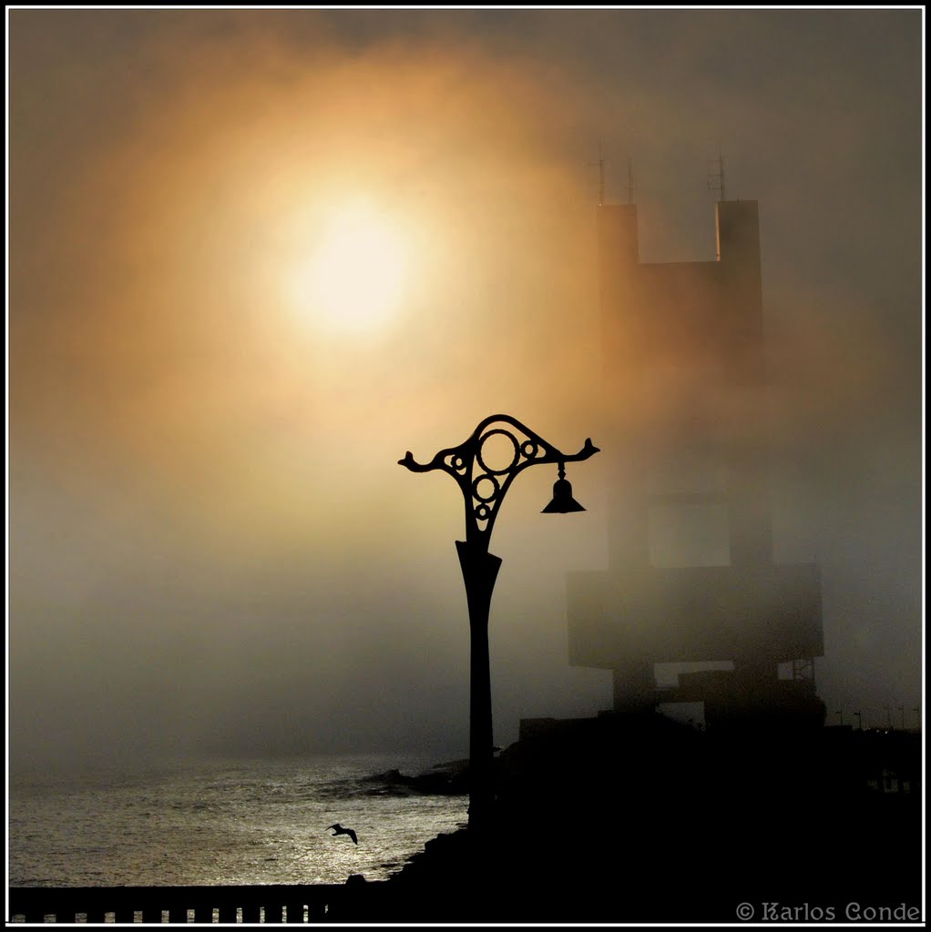 Niebla al Amanecer