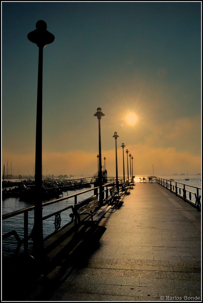 Niebla con Farolas