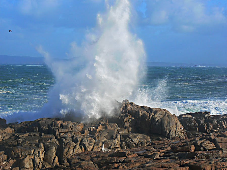 Escena de Mar