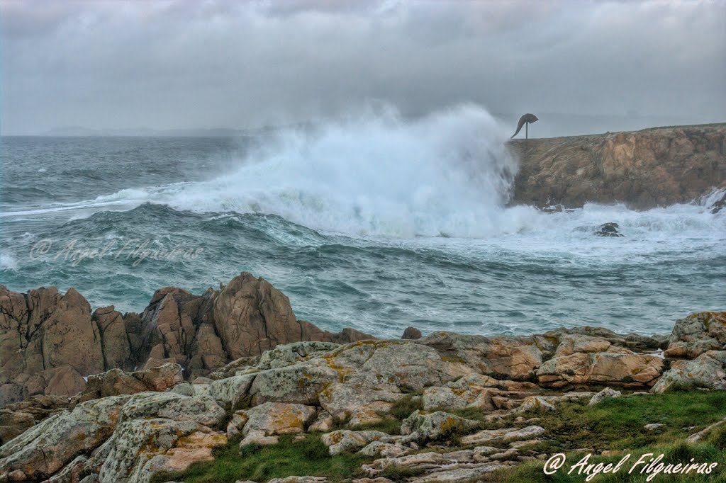 Temporal