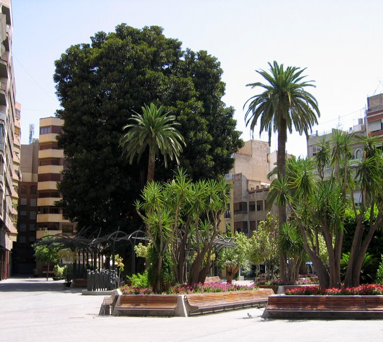Murcia, Plaza de Santo Domingo