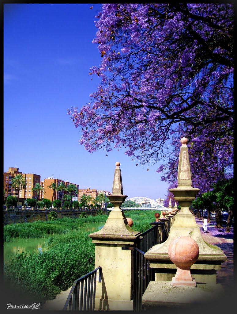 Murcia en primavera - ....{ By FranciscoGC }