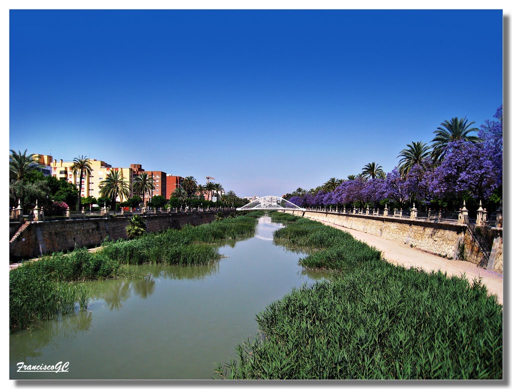 MURCIA -  Cauce del Rio Segura  - The Segura river....{ By FranciscoGC }