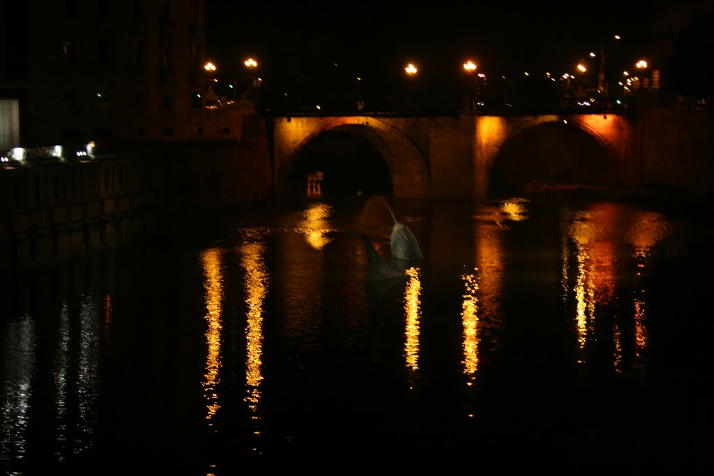 reflejos en el puente