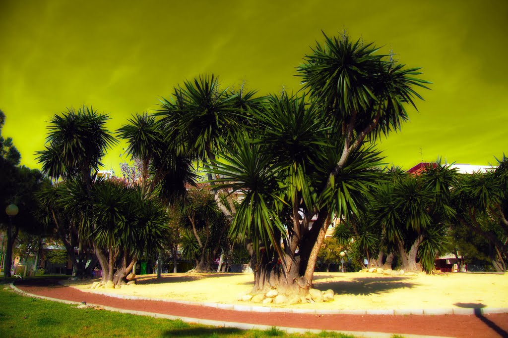 La selva de Murcia