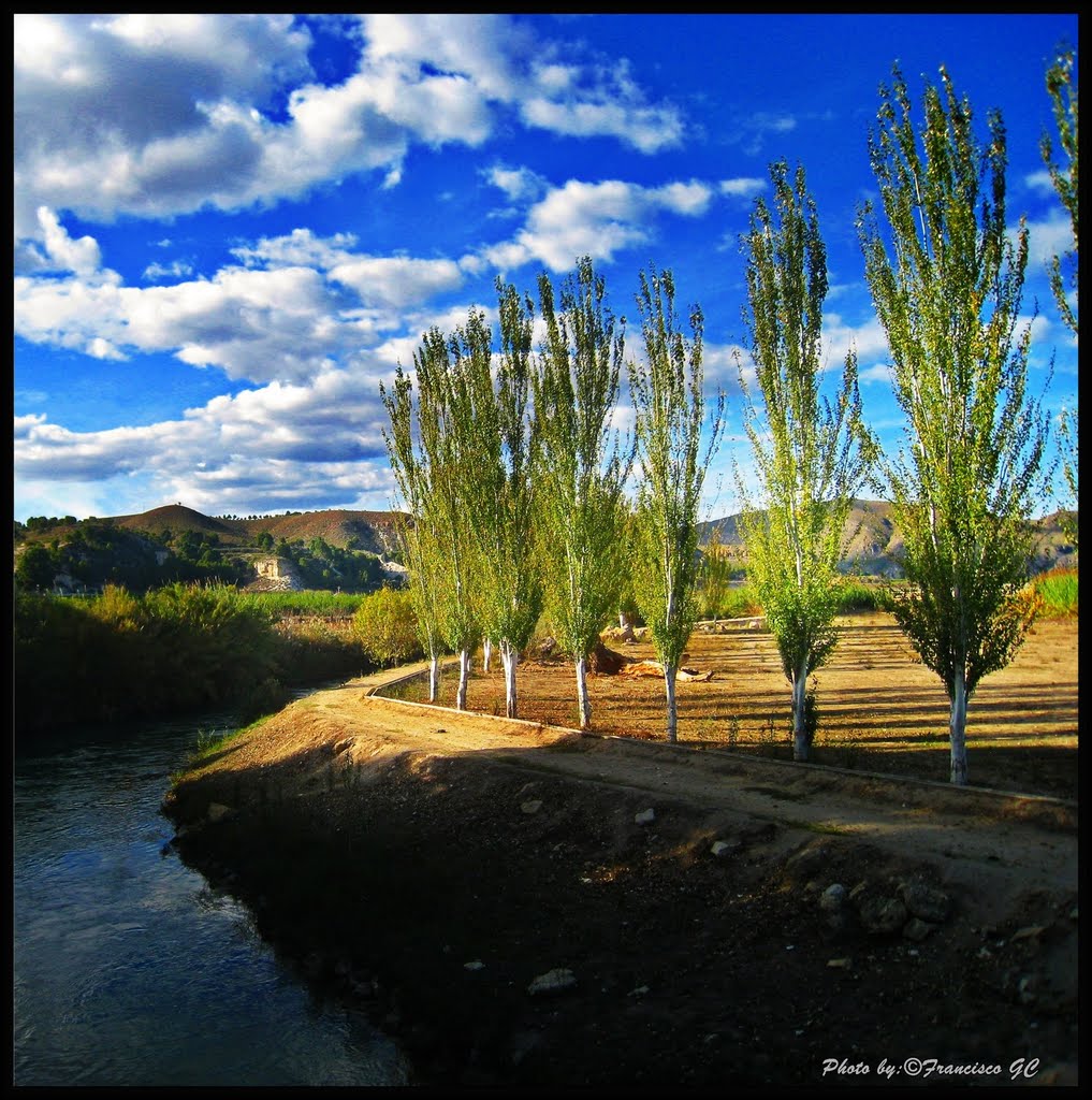 Vega del Rio Segura -Región de Murcia - Spain...(by FranciscoGC)