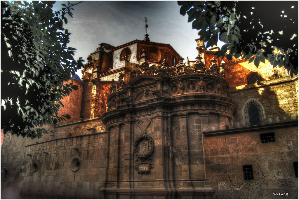Detalles de la Catedral de Murcia (Details of the Cathedral of Murcia)