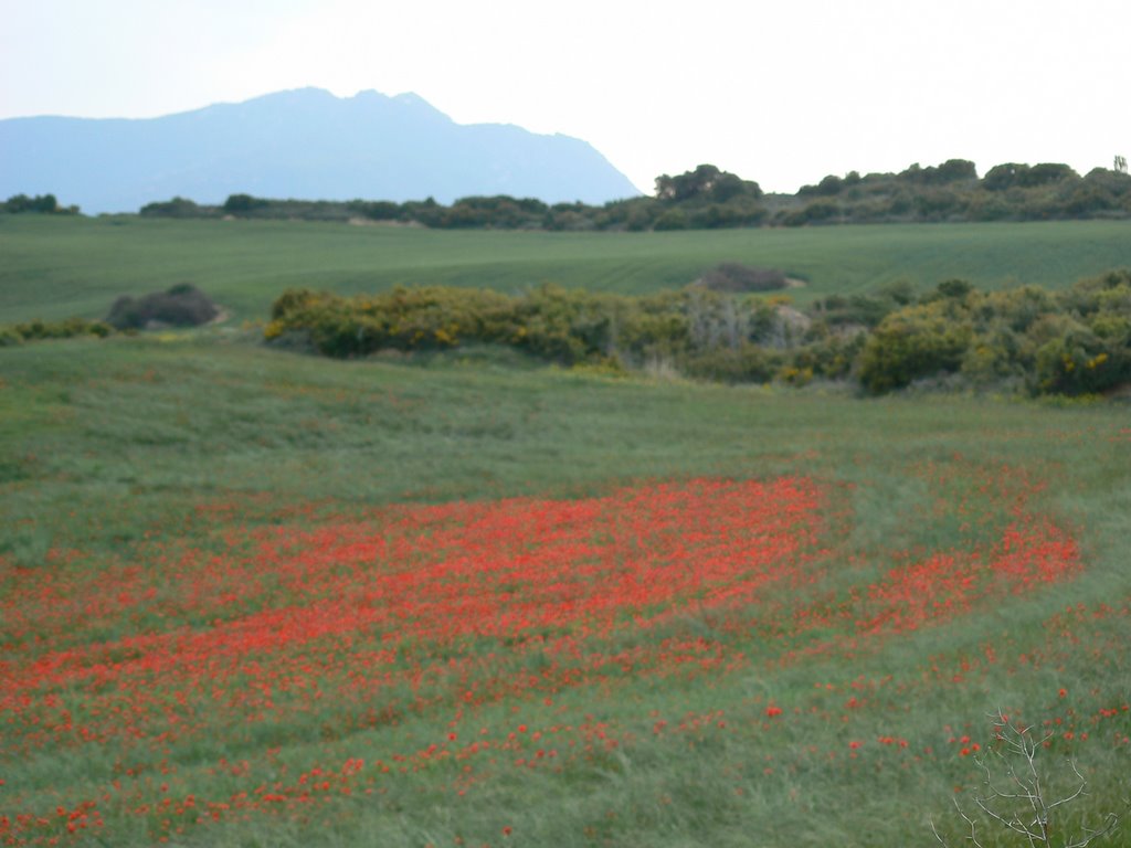 MONTEJURRA DESDE VILLATUERTA