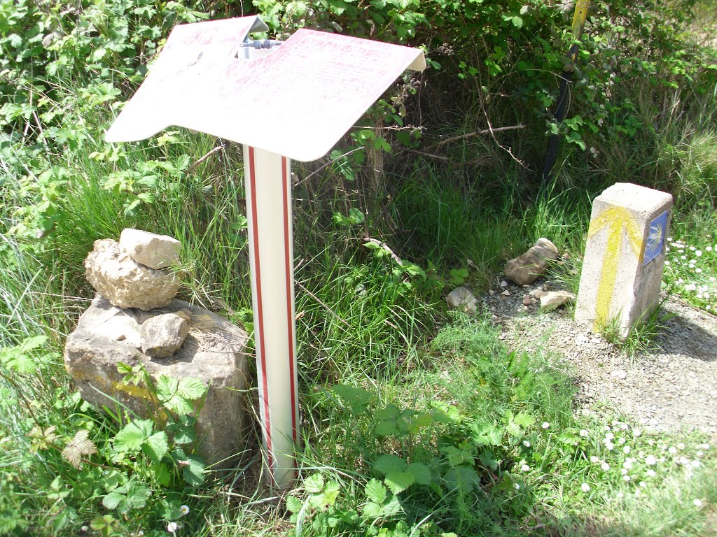 JC® - Caminho de Santiago - Villatuerta-Estella