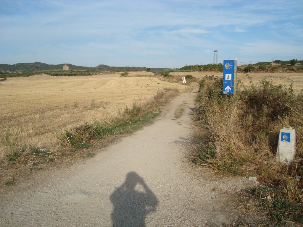 Salida Villatuerta