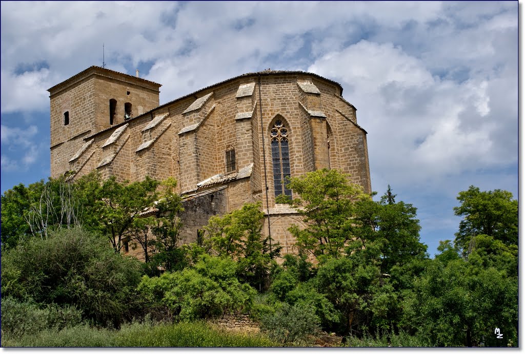 Iglesia de la Asunción (Villatuerta) (2)