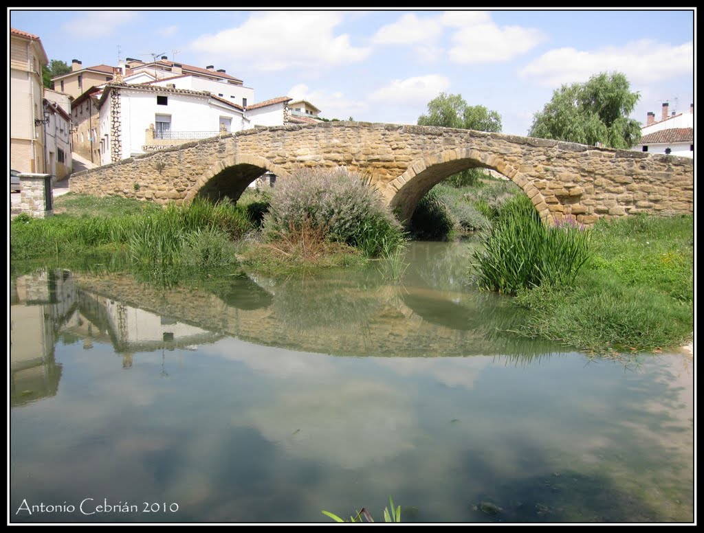 "De puente a puente y sigo porque me lleva la corriente..."
