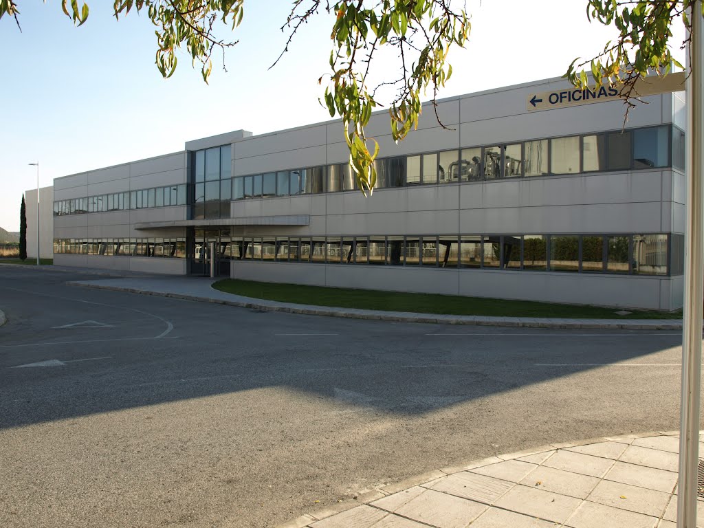 SINTAL EMPRESARIAL, S.A.