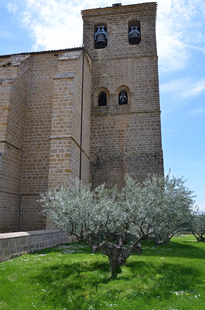 Camino de Santiago / Jacob way - Villatuerta old town