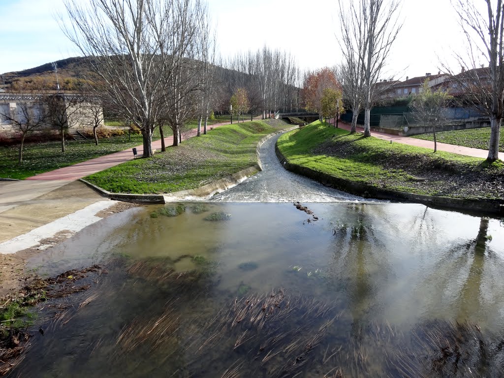 Embocadura del río Iranzu