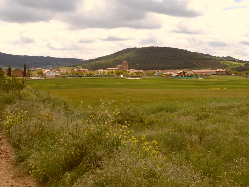 JC® - Caminho de Santiago - Villatuerta-Estella