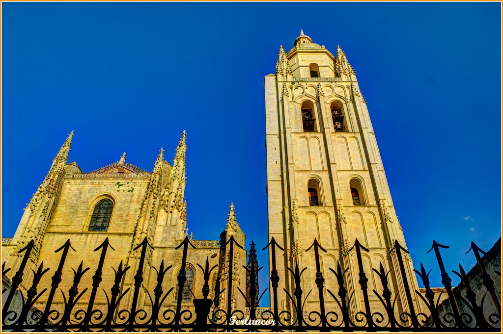 Airosa   tomando  el  sol  vespertino. Slender and graceful bathing in the evening sunshine. Catedral  de  Segovia (f)