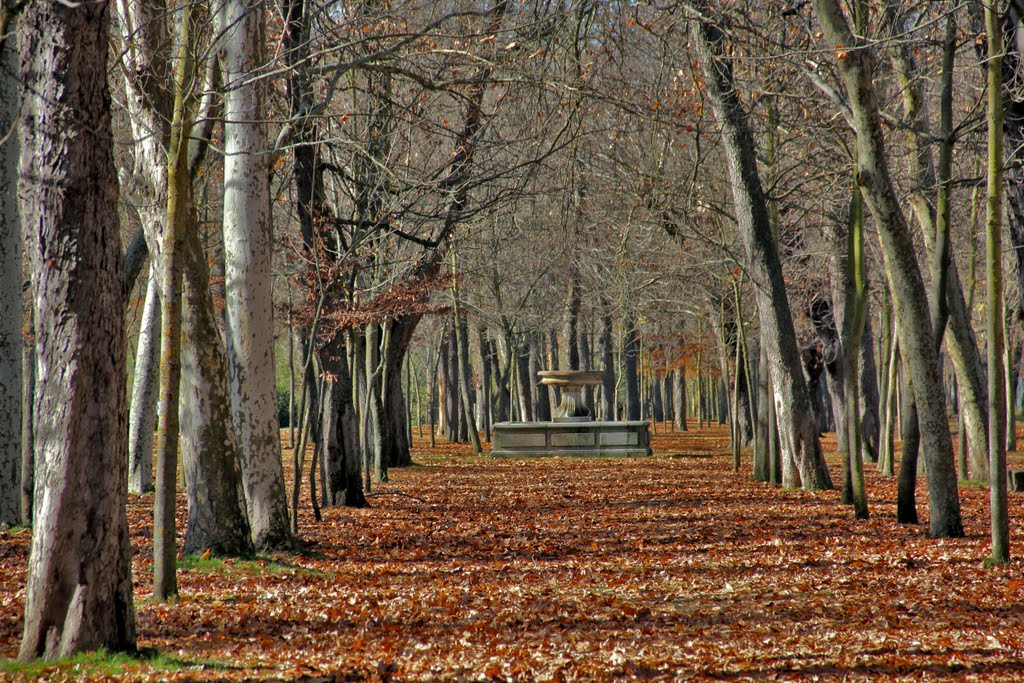 Paseo del Parral