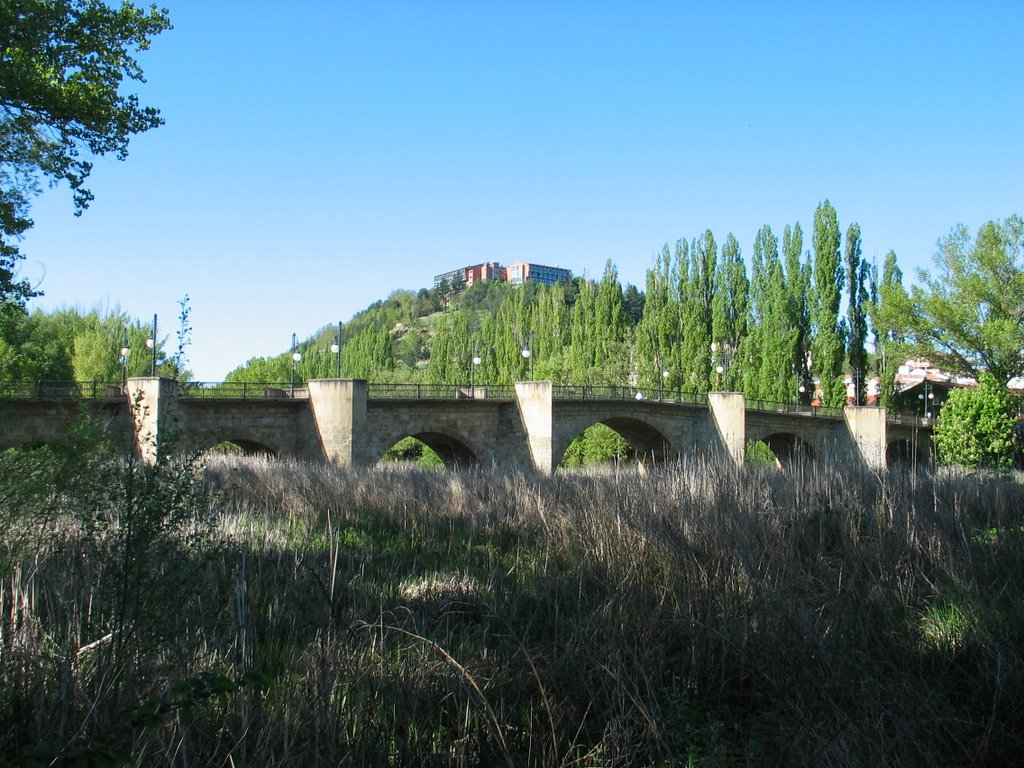 Puente sobre el Duero