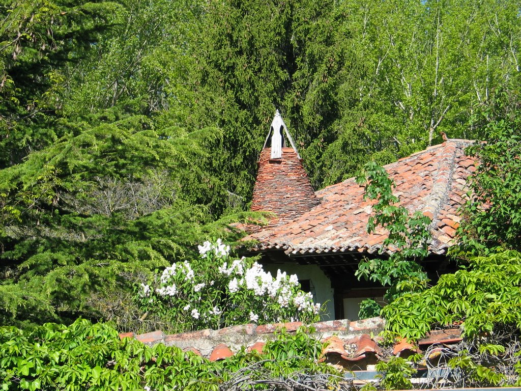 Chimenea serrana y lila blanca