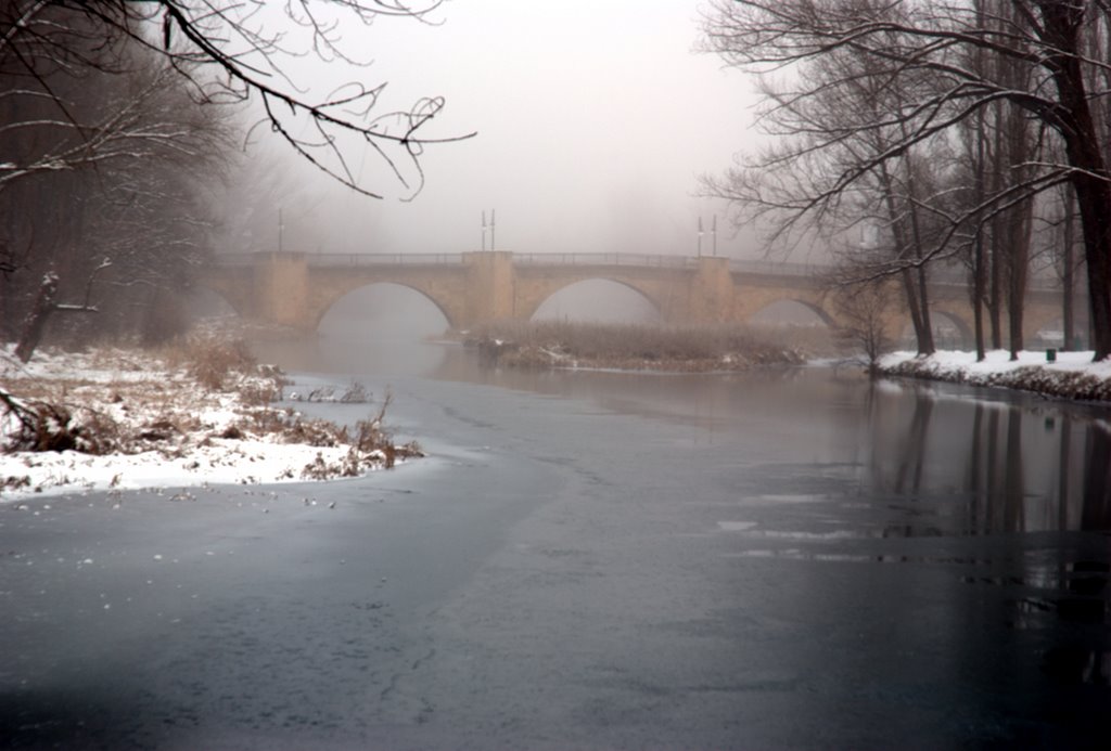 Nieve, hielo, niebla y puente