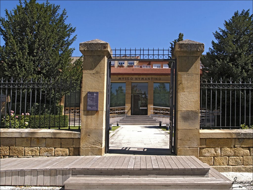 70724-012 SORIA. MUSEO NUMANTINO