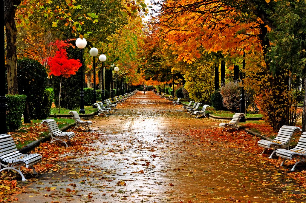 Alameda de Cervantes en Soria