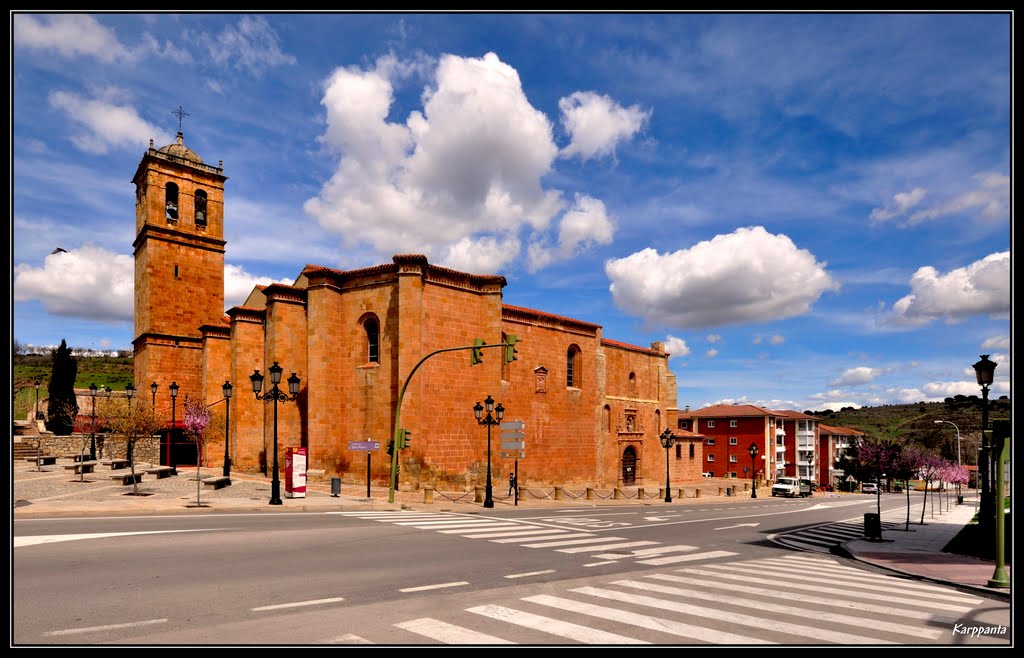 Colegiata de San Pedro - Soria