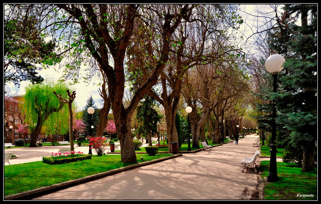 Alameda de Cervantes - "La Dehesa" - Soria
