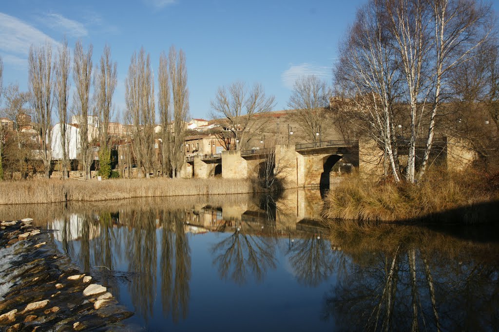 Река Дуэро в Ваш шаг Сории.   El rio Duero a su paso por Soria.