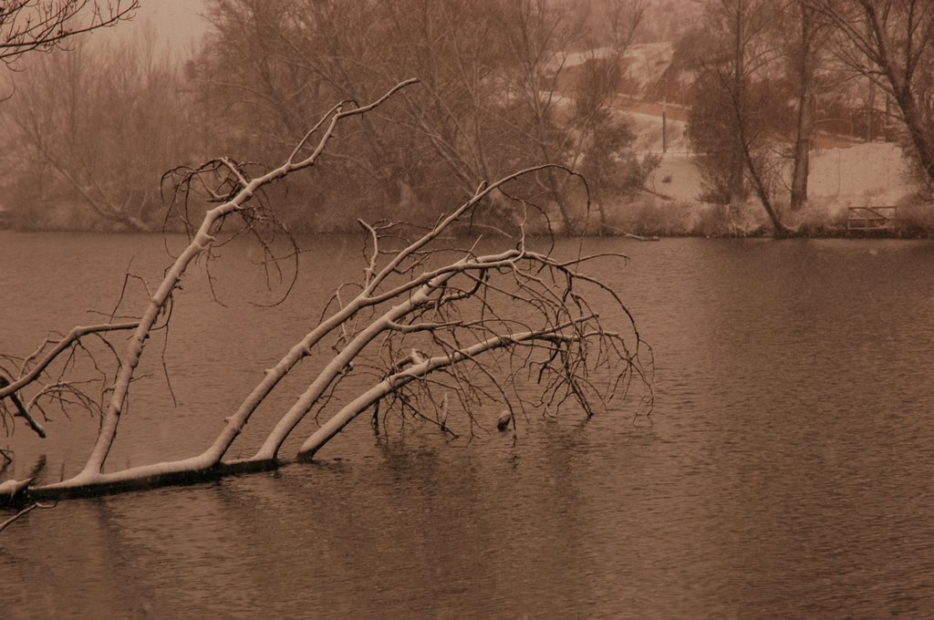 Estampa nevada