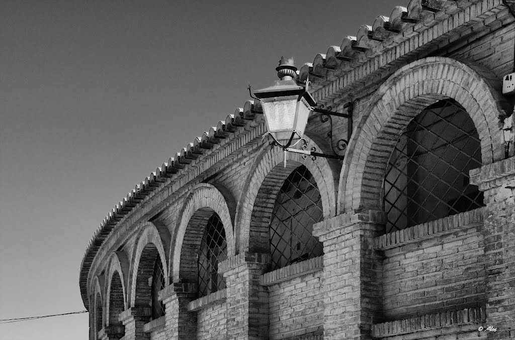 Coso de Teruel: Detalles