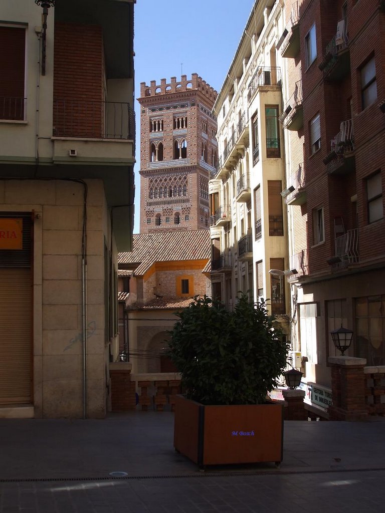 TORRE DEL SALVADOR