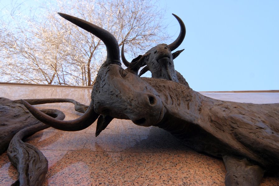 Otro Toros
