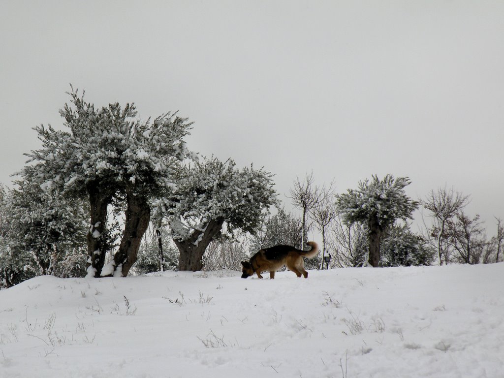 Valdemoro en invierno - Winter in Valdemoro