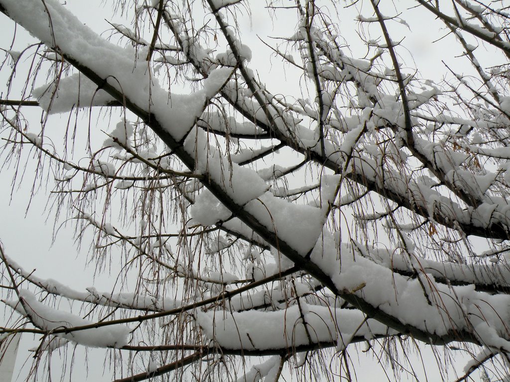 Valdemoro en invierno - Winter in Valdemoro
