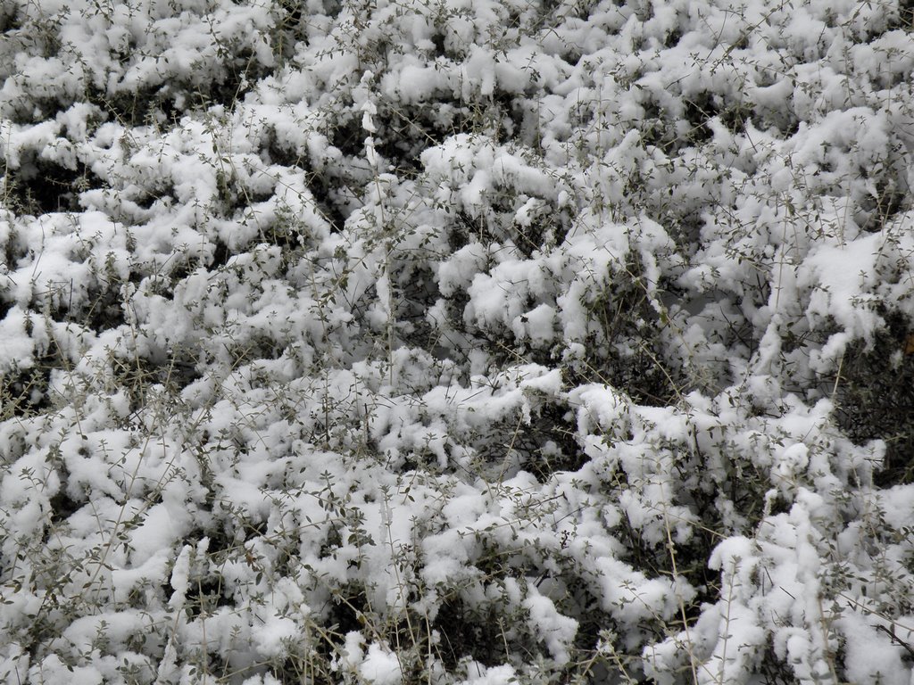 Valdemoro en invierno - Winter in Valdemoro