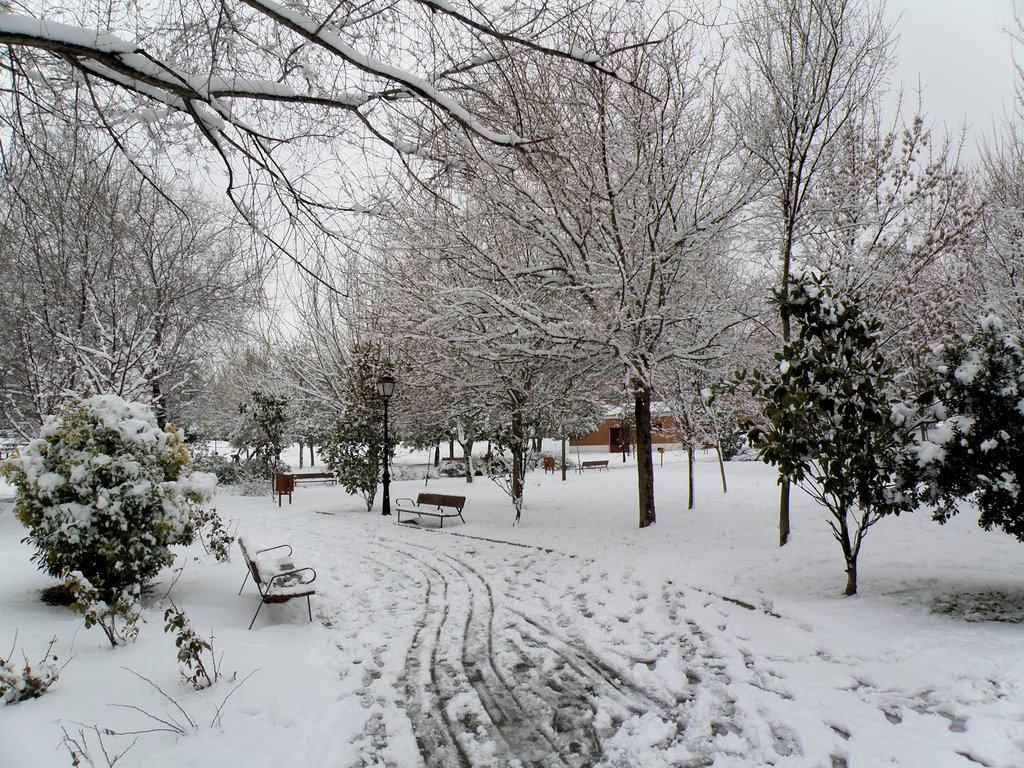 Valdemoro en invierno - Winter in Valdemoro