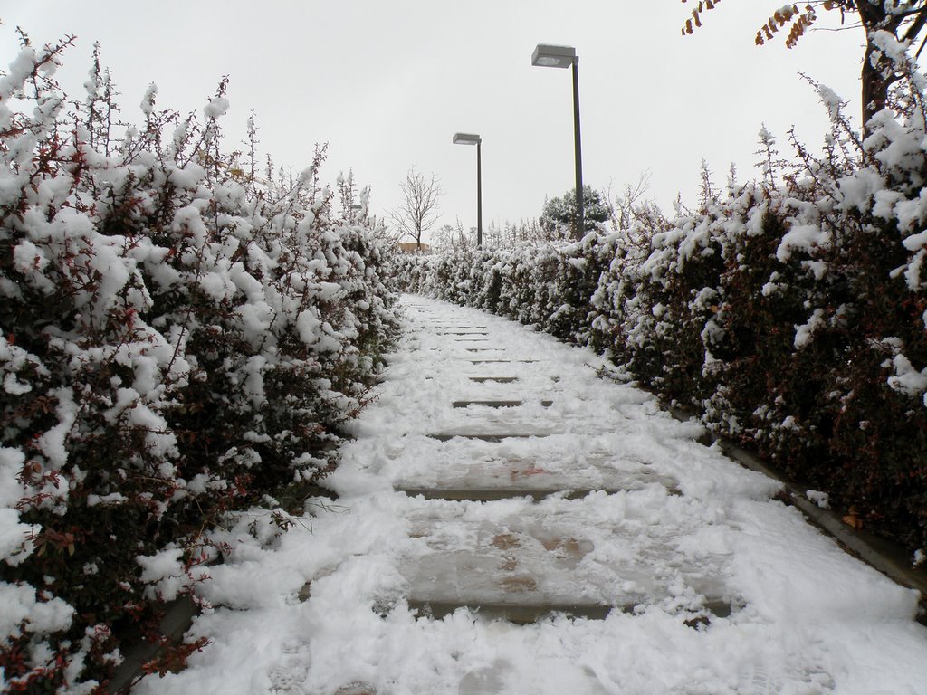 Valdemoro en invierno - Winter in Valdemoro