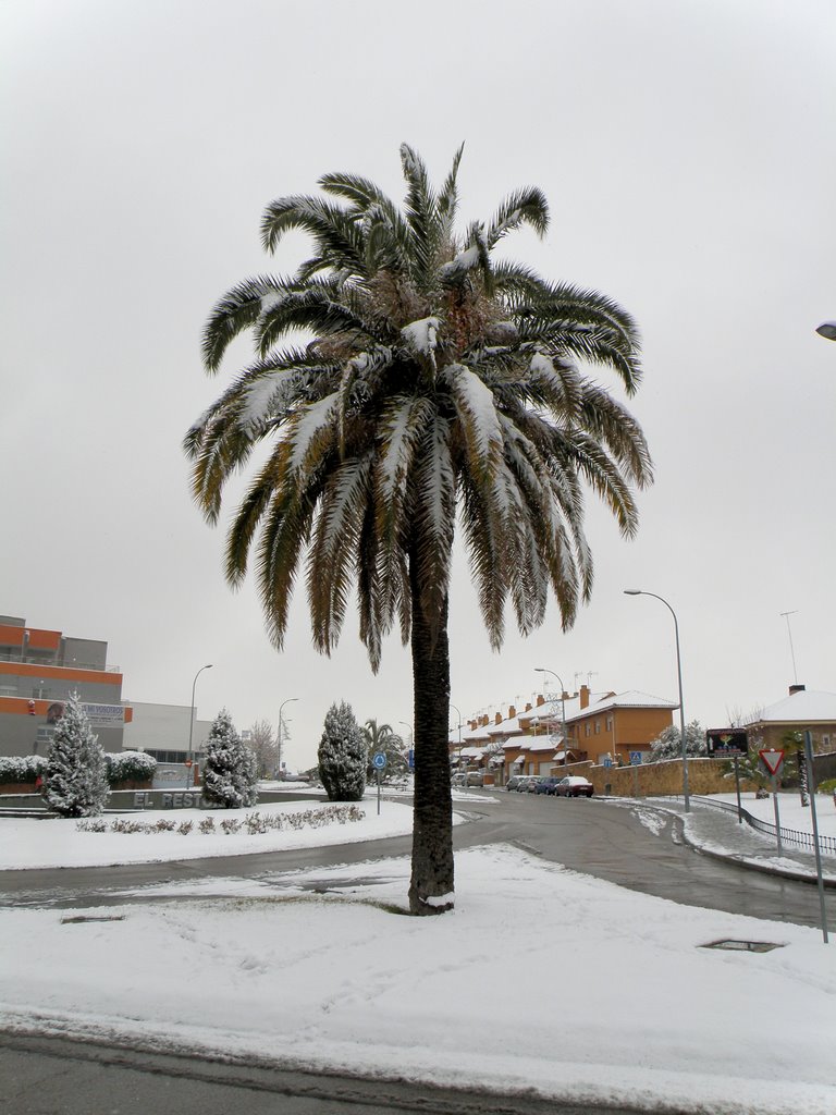Valdemoro en invierno - Winter in Valdemoro