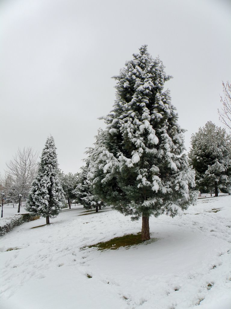 Valdemoro en invierno - Winter in Valdemoro
