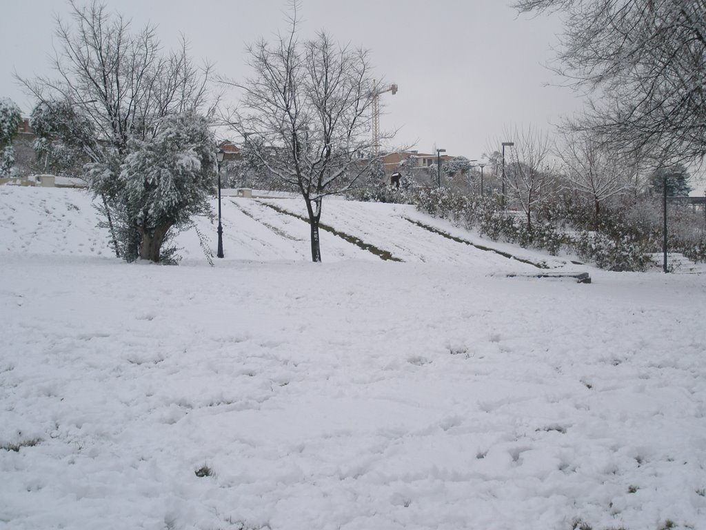 Parque nevado