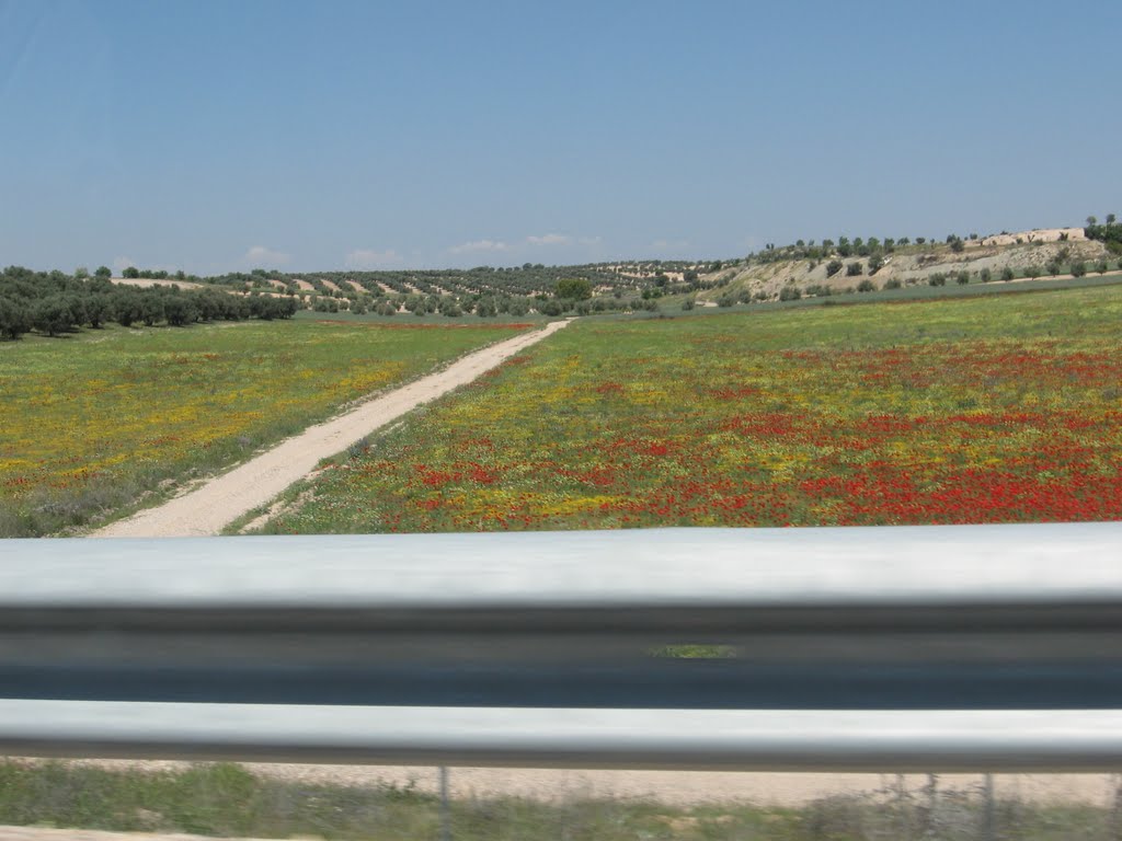 The beauty of Spain
