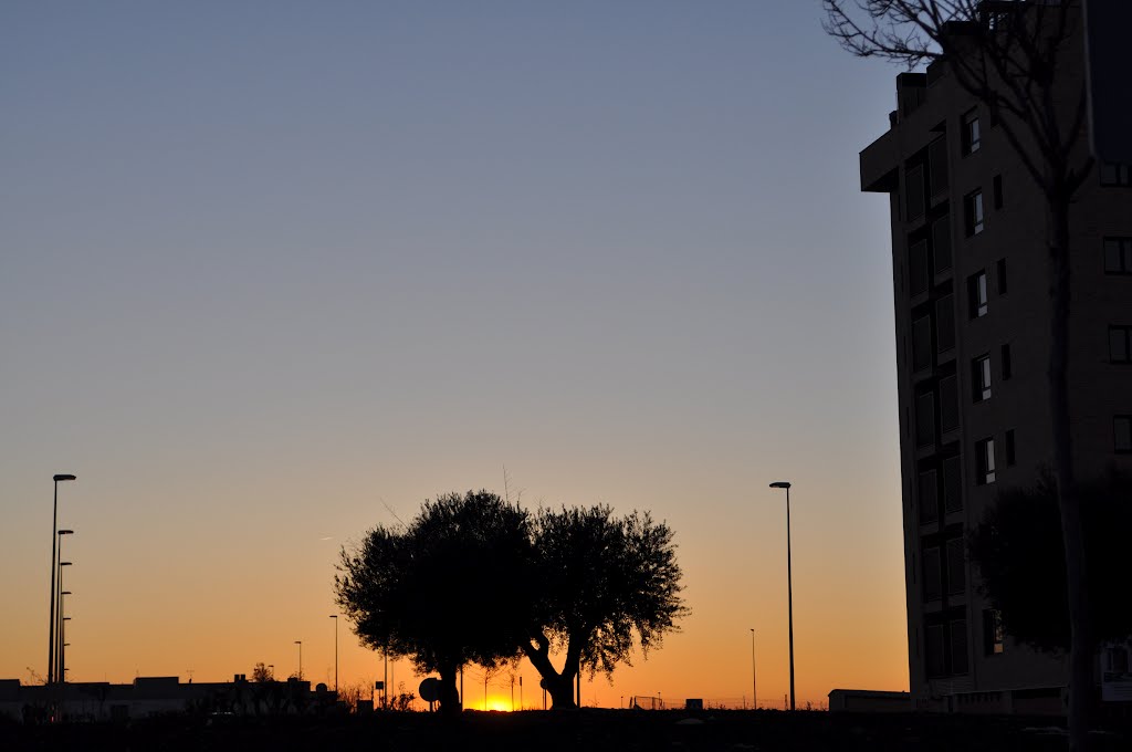 atardecer