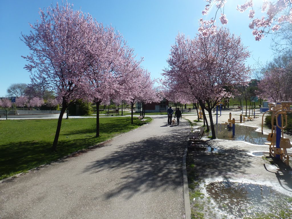Parque de Tierno Galván