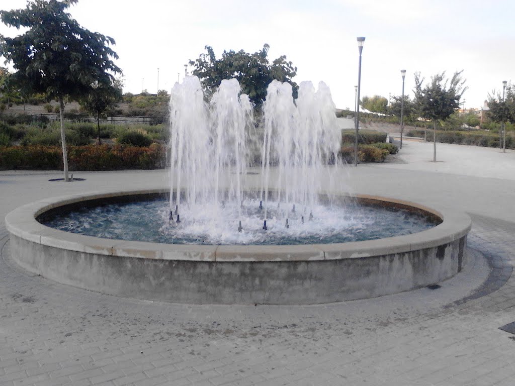 Fuente de Valdemoro