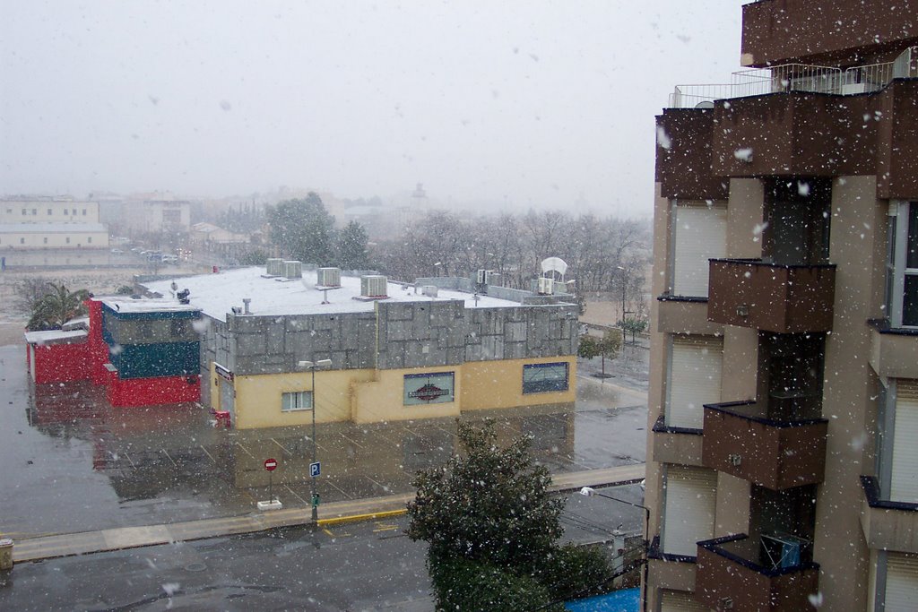 roquetes 05