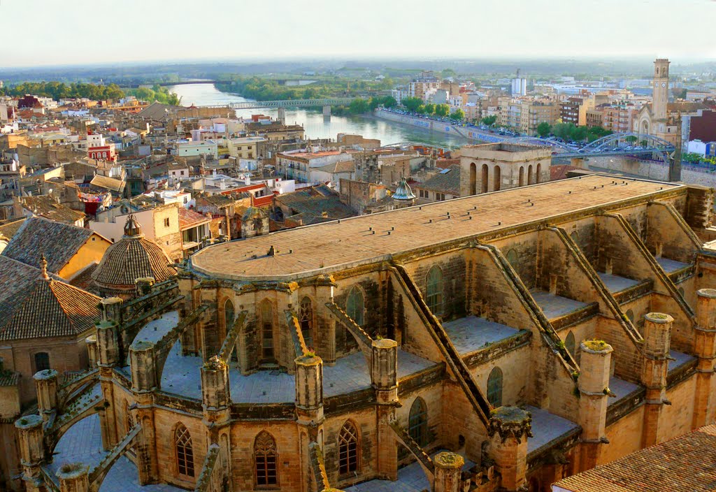 Sostre de la Catedral de Tortosa