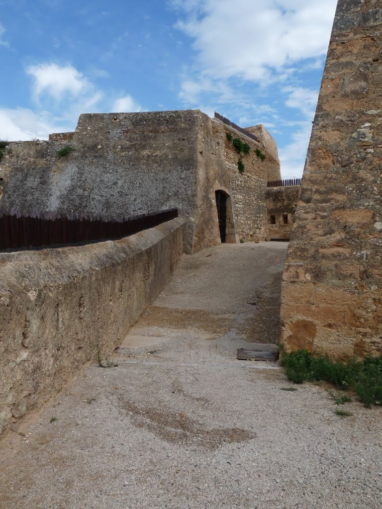 Cos de guàrdia