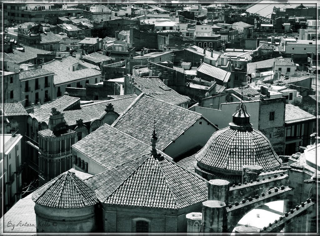 Casco antiguo Tortosa